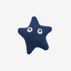 Blue Star Brooch